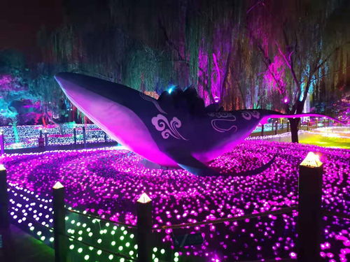 北京朝阳区劳务外包与业务外包劳务派遣服务新动态